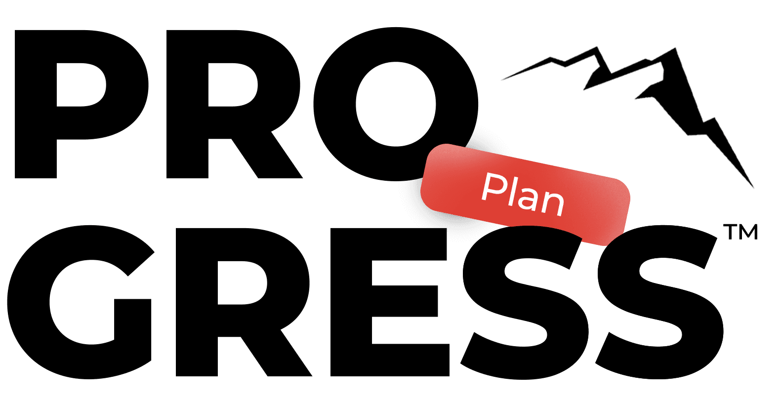 Progress Plan